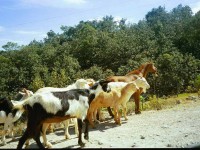 Oaxaca, Mexico: Traveling to the Mountain Spring — Johnny Monsarrat Mexico Trip